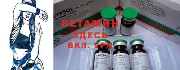 шишки Пересвет