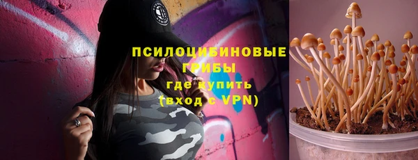 прущая мука Галич