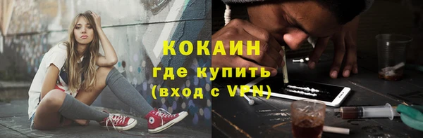 шишки Пересвет