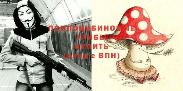 индика Вязники