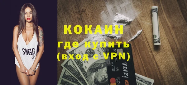 шишки Пересвет