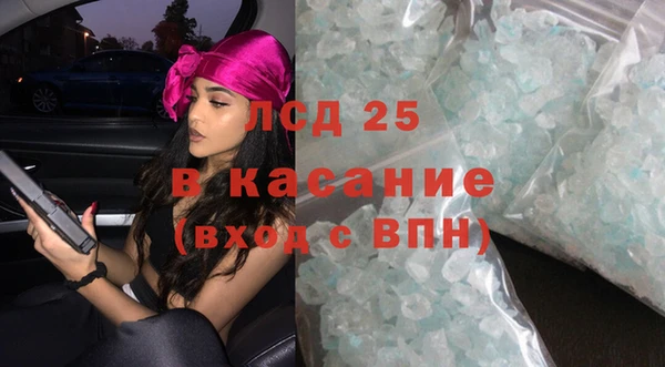 шишки Пересвет
