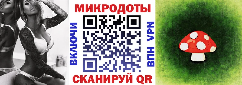 продажа наркотиков omg сайт Псилоцибиновые грибы прущие грибы Иннополис